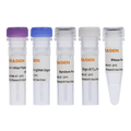 Hifair™ AdvanceFast One-step RT-gDNA Digestion SuperMix for qPCR – Figure 1 of 2