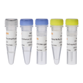 Hieff NGS™ DNA Library Prep Kit for ONT – Figure 1 of 1