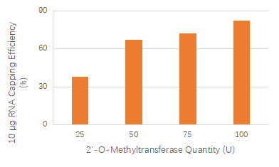 mRNA Cap 2´-O-Methyltransferase GMP-grade (50 U/μl)