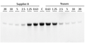 Exonuclease I (20 U/μL)