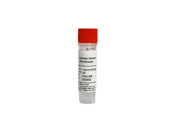 Human Gastric Fibroblasts – Figure 1 of 1