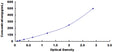 Human Interferon Beta (IFNb) ELISA Kit — standard curve, 7.8–500 pg/mL