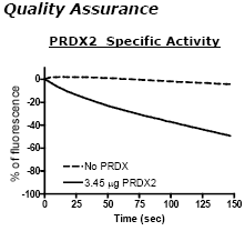 Peroxiredoxin II, His-tag Recombinant – Figure 1 of 2