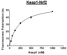 KEAP1, His-tag Recombinant – Figure 1 of 2