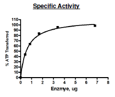 Fucokinase, FLAG-tag Recombinant – Figure 1 of 2