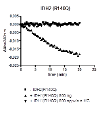 IDH2 (R140Q), FLAG-tag Recombinant – Figure 1 of 2