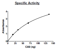 Carbonic Anhydrase 9 (CA9), His-tag Recombinant – Figure 1 of 2