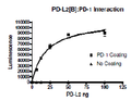 PD-L2 (CD273), Fc fusion, Biotin-labeled (Human) Recombinant – Figure 1 of 3