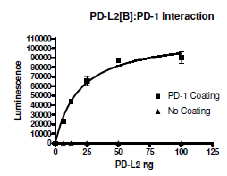 PD-L2 (CD273), Fc fusion, Biotin-labeled (Human) Recombinant – Figure 1 of 3