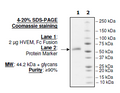 HVEM, Fc fusion (Human) Recombinant – Figure 1 of 2