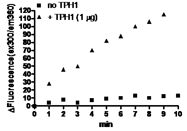 TPH1, His-tag (Human) Recombinant – Figure 1 of 2
