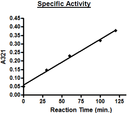 TDO2, His-Tag (Human) Recombinant – Figure 1 of 4