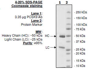 Anti-PCSK9 Neutralizing Antibody – Figure 1 of 6