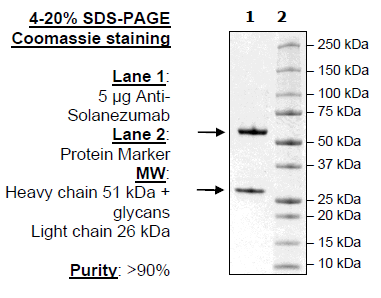 Anti-β-Amyloid, Plaque Neutralizing Antibody – Figure 1 of 1