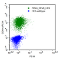 CD40 - HEK293 Cell Line – Figure 1 of 4