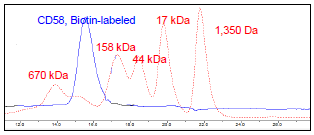 CD58, Fc fusion, Biotin-labeled HiP™ Recombinant – Figure 1 of 3