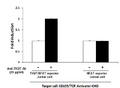 Anti-TIGIT Neutralizing Antibody – Figure 1 of 6