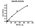 MAT2A, His-Tag Recombinant – Figure 1 of 2