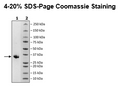 IgG1, Fc (Human) HiP™ Recombinant – Figure 1 of 2