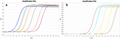 Hifair™ miRNA 1st Strand cDNA Synthesis Kit (poly A)