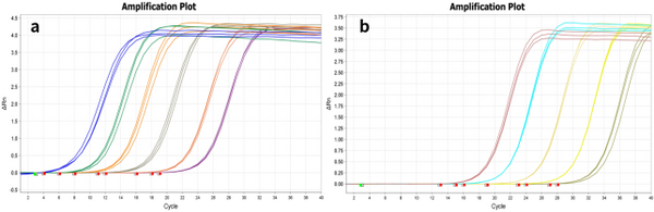 Hifair™ miRNA 1st Strand cDNA Synthesis Kit (poly A)