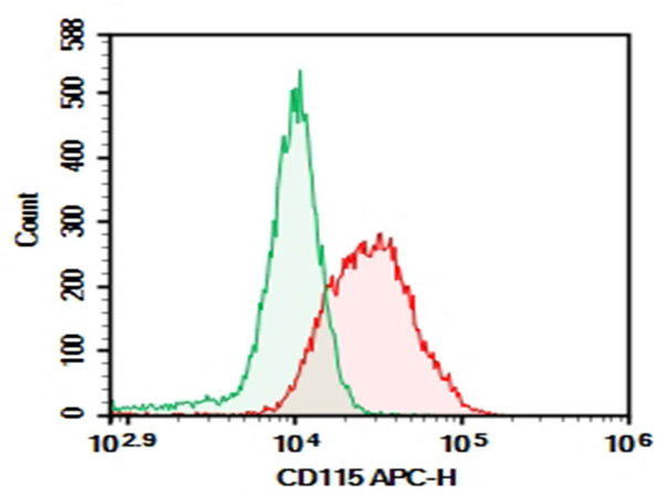 Purified Anti-Mouse CD115/CSF-1R Antibody[AFS98] – Figure 1 of 2