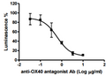 Anti-OX40 Antagonist Antibody – Figure 1 of 1