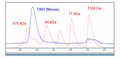 TIM-3 (Mouse) Fc-Fusion (Human)-Avi-Tag HiP™ Recombinant – Figure 1 of 2