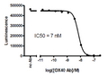 Anti-OX40 Competitive Antibody – Figure 1 of 1