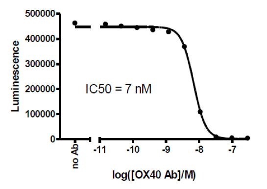 Anti-OX40 Competitive Antibody – Figure 1 of 1