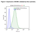 CD19 / BCMA / Firefly Luciferase - CHO Recombinant Cell Line – Figure 1 of 3