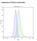Cas9 Expressing Jurkat Cell Pool – Figure 1 of 2