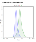 Cas9 Expressing Raji Cell Pool – Figure 1 of 2
