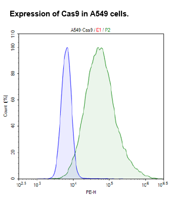 Cas9 Expressing A549 Cell Pool – Figure 1 of 2