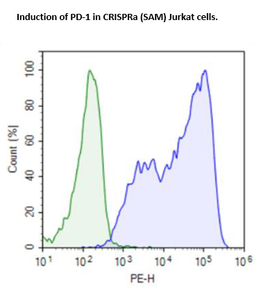 CRISPRa (SAM) Jurkat Cell Line – Figure 1 of 1