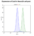 Cas9-Expressing Neuro2A Cell Pool – Figure 1 of 1