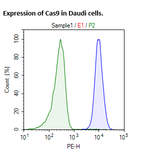 Cas9 Expressing Daudi Cell Pool – Figure 1 of 1