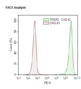 TROP2 - CHO-K1 Recombinant Cell Line – Figure 1 of 1