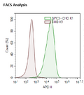 GPC3 - CHO-K1 Recombinant Cell Line – Figure 1 of 1