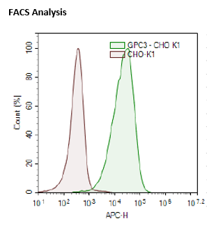 GPC3 - CHO-K1 Recombinant Cell Line – Figure 1 of 1