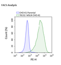 Human Mesothelin - CHO-K1 Recombinant Cell Line – Figure 1 of 2