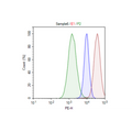 Cas9-Expressing A549 Cell Line – Figure 1 of 1