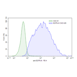 Human EGFRvIII- CHO K1 Cell Line – Figure 1 of 2