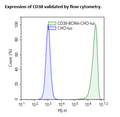 CD38 / BCMA / Firefly Luciferase CHO Recombinant Cell Line – Figure 1 of 3