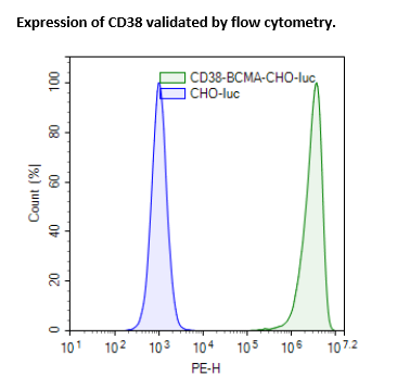 CD38 / BCMA / Firefly Luciferase CHO Recombinant Cell Line – Figure 1 of 3