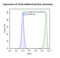 CD38 / CD19 / Firefly Luciferase CHO Recombinant Cell Line – Figure 1 of 3