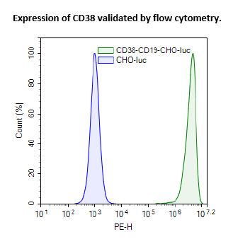 CD38 / CD19 / Firefly Luciferase CHO Recombinant Cell Line – Figure 1 of 3