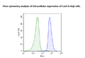 Cas9-Expressing Raji Cell Line – Figure 1 of 1