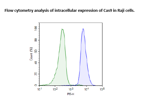 Cas9-Expressing Raji Cell Line – Figure 1 of 1