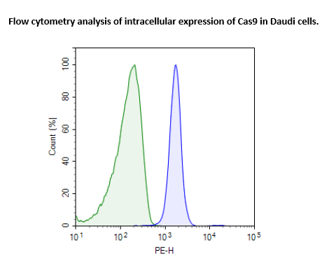 Cas9-Expressing Daudi Cell Line – Figure 1 of 1